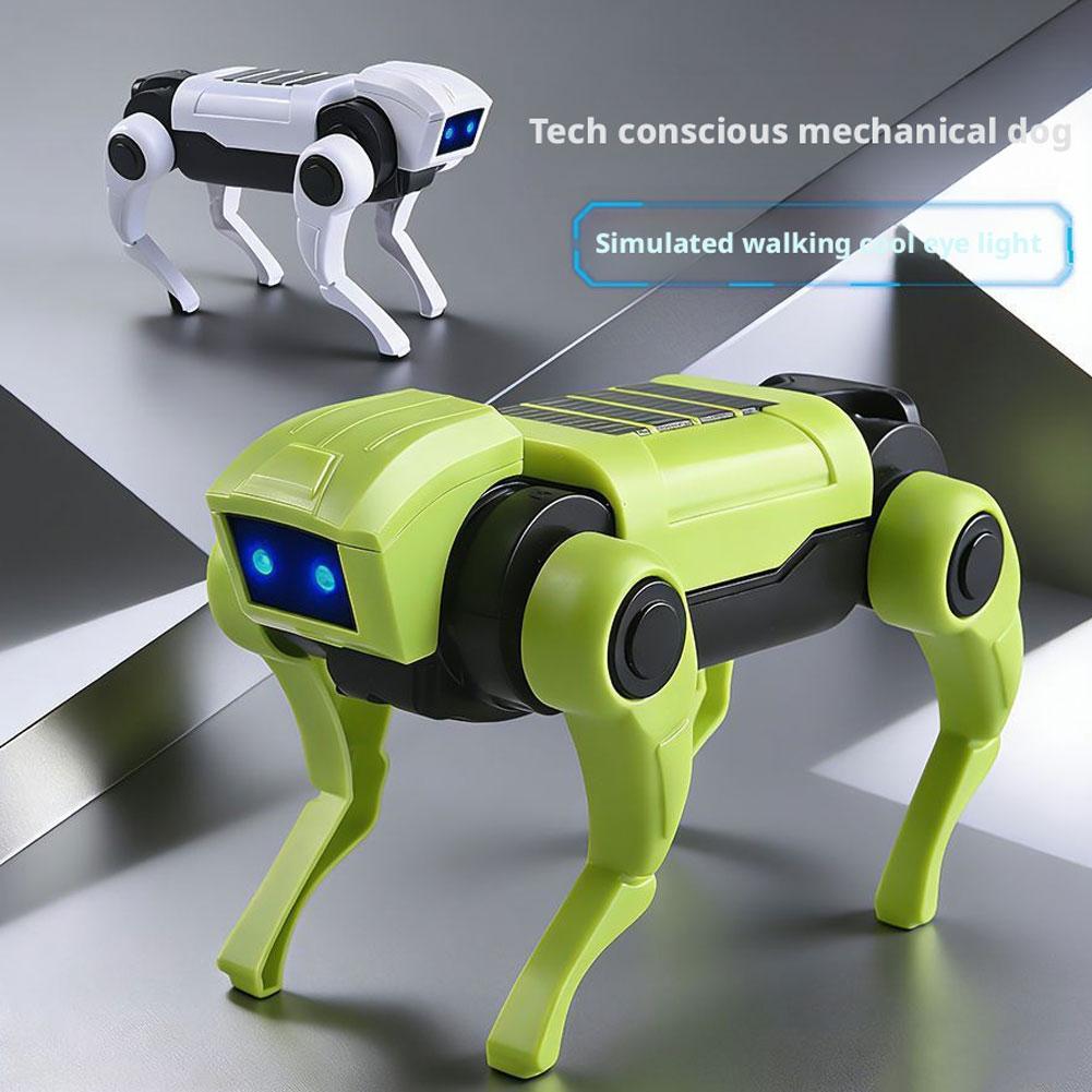 Zestaw do samodzielnego montaż – Science Project Diy recenzja i cena